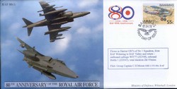JS(CC)41a RAF 80th Anniversary - Offensive Support unsigned variant