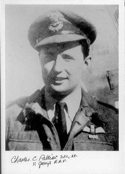 SP(BB)38 Flight Lieutenant Charles Palliser DFC AE