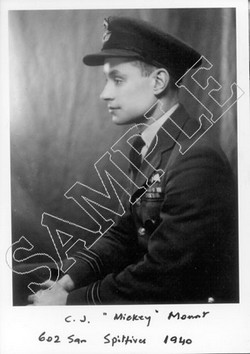 SP(SF)25 Air Commodore Mickey Mount CBE DSO DFC DL